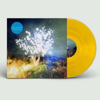 2LP The Notwist: Vertigo Days LTD | CLR
