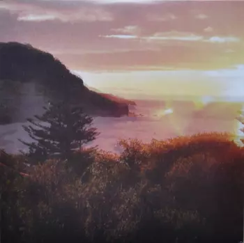 The Ocean Party: Beauty Point