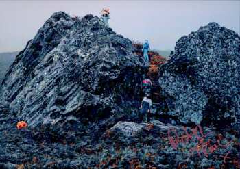 LP The Pictish Trail: Island Family CLR | LTD