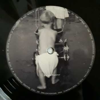 2LP The Pineapple Thief: Abducted At Birth