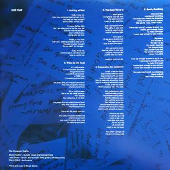 LP The Pineapple Thief: Someone Here Is Missing