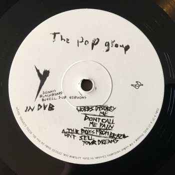 2LP The Pop Group: Y In Dub