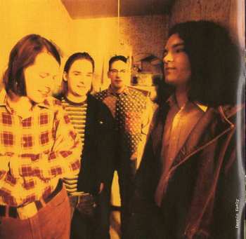 2CD The Posies: Frosting On The Beater