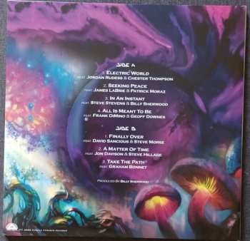 LP The Prog Collective: Seeking Peace LTD | CLR