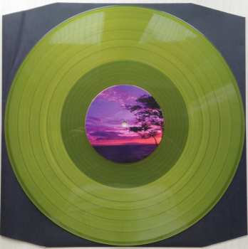 LP The Proper Ornaments: Waiting For The Summer LTD | CLR