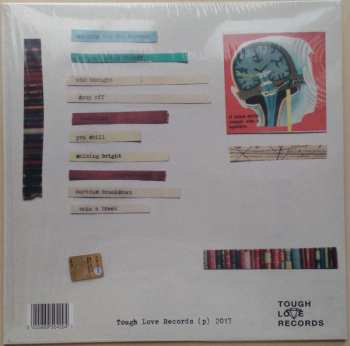 LP The Proper Ornaments: Waiting For The Summer LTD | CLR