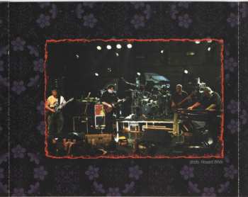 2CD The Radiators: Wild & Free