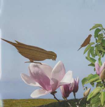 CD The Raylenes: Let The Wild Rumpus Start