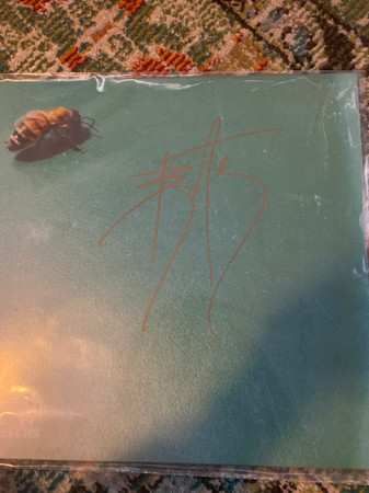 LP The Rocket Summer: Sweet Shivers