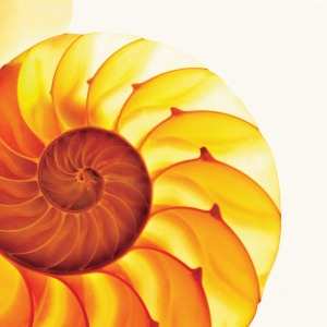 Album The Samuel Jackson Five: Easily Misunderstood