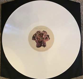 LP The Slow Show: Still Life CLR