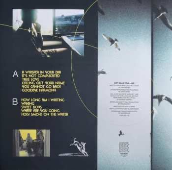 LP The Soft Walls: True Love