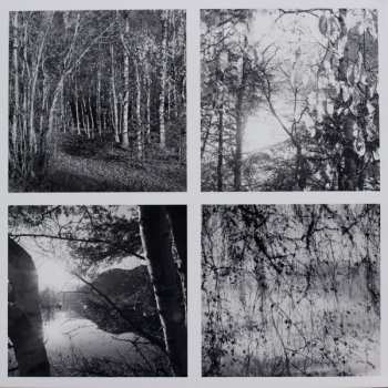 2LP The Source: ... But Swinging Doesn't Bend Them Down LTD