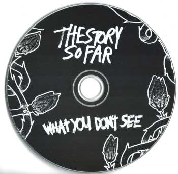 CD The Story So Far: What You Don't See