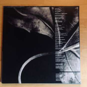 LP The Strange: Echo Chamber