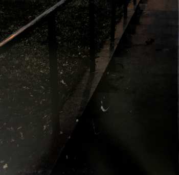 LP The Tallest Man on Earth: Dark Bird Is Home