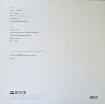 LP The Tallest Man on Earth: Shallow Grave