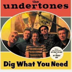 CD The Undertones: Dig What You Need