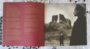 LP U2: The Unforgettable Fire