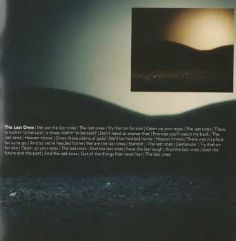 CD The Walkabouts: Acetylene