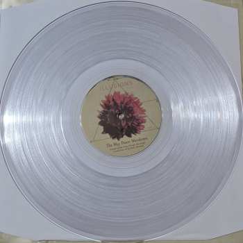 LP The Way Down Wanderers: Illusions CLR