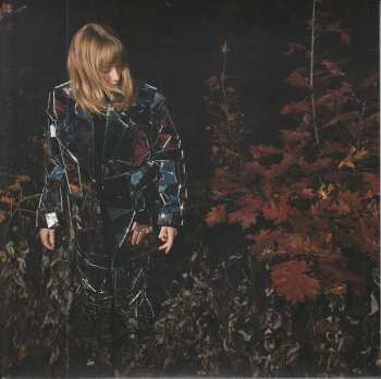 Album The Weather Station: Robber