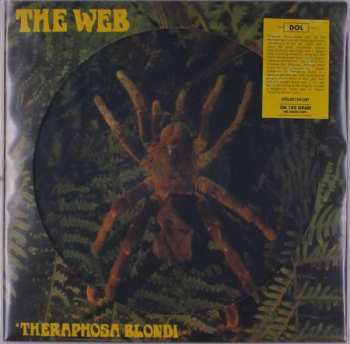 LP The Web: Theraphosa Blondi PIC