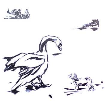 LP The Wedding Present: Locked Down And Stripped Back