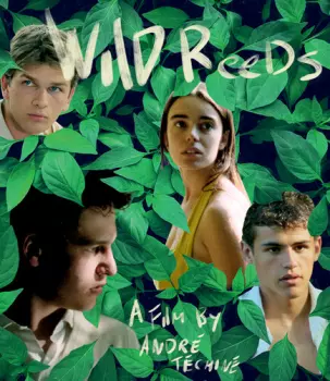 The Wild Reeds: Wild Reeds