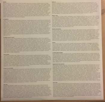 LP The Zen Circus: Il Fuoco In Una Stanza LTD | NUM