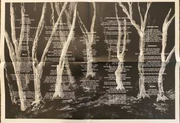 LP These New Puritans: Crooked Wing