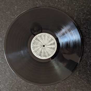 LP They Might Be Giants: Book