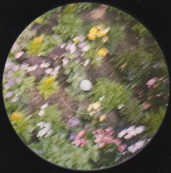 LP They Might Be Giants: I Like Fun