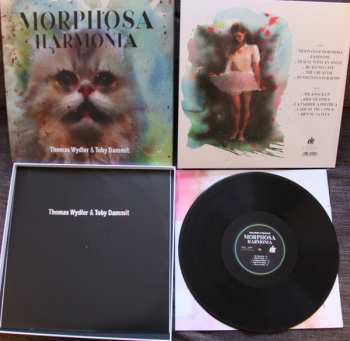 LP Thomas Wydler: Morphosa Harmonia LTD