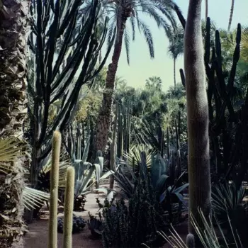 Three Body: Three Body