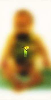 CD Throbbing Gristle: Mutant Throbbing Gristle