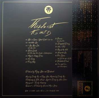 LP Thundercat: It Is What It Is