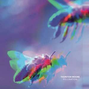 SP Thurston Moore: Pollination LTD | CLR