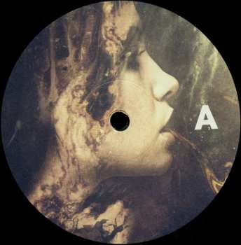 LP Tim Green: Echo / They Want Us To Fall Down