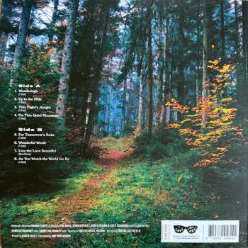 CD Tim Knol: Wanderings