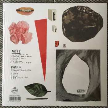 LP Tim Neuhaus: Pose I + II