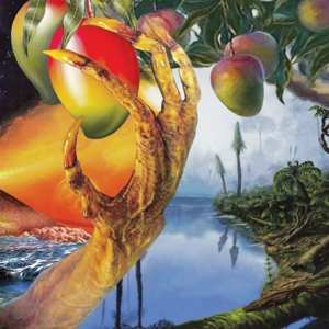 2LP Timelash: A Morphology Of Wonders