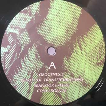 2LP Timelash: A Morphology Of Wonders