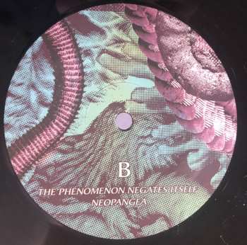 2LP Timelash: A Morphology Of Wonders