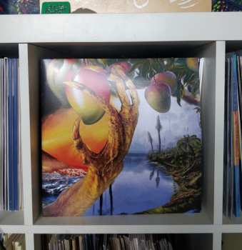 2LP Timelash: A Morphology Of Wonders