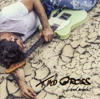 Album Timo Gross: Landmarks