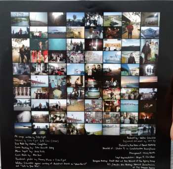 LP Title Fight: Shed