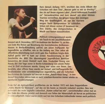 CD Ton Steine Scherben: Auswahl I (Klassiker & Raritäten)