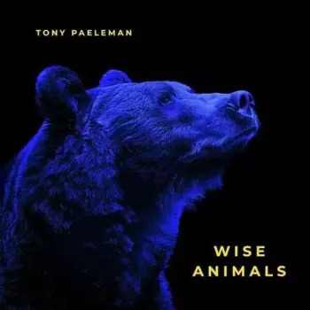Tony Paeleman: Wise Animals