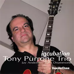 Incubation